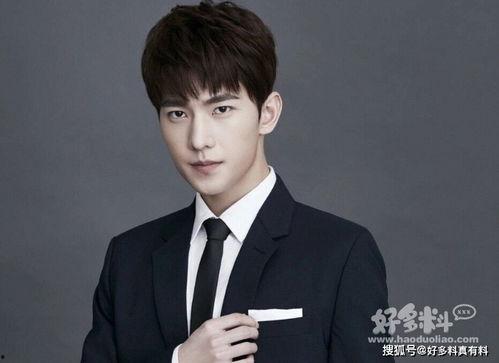 杨岩图片,光影交织的艺术人生